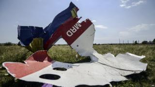 A picture shows a piece of debris of the fuselage at the crash site of the Malaysia Airlines Flight MH17 on July 25, 2014.