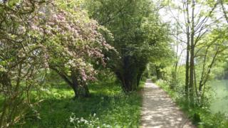 Towpath from Osney to Wolvercote