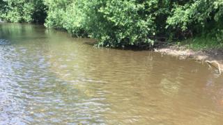 Afon Bach