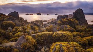 Rocks at Elgol shore in Skye