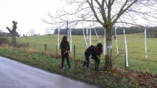 The Sweeting family with their memorial tree