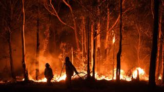 Australia fires