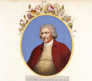 Retrato de Erasmus Darwin "autor de los amores de las plantas" publicado entre 1799-1807 (1810) por Dr Thornton, London