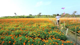 গদখালী গ্রাম ও আশেপাশের এলাকায় বছরে প্রায় দেড় হাজার কোটি টাকা মূল্যের ফুল উৎপাদন হয়
