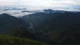 नेपाल वन