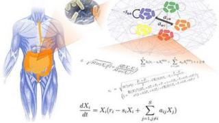 The university's own design showing an equation and a drawing of the human gut area
