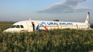 Avion je završio u kukuruzima