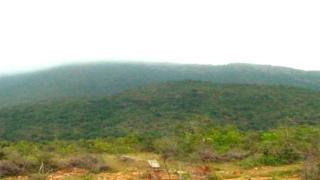 నల్లమల అడవి