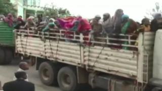 Namoota konkolaataa irratti fe'aman