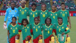 Cameroon Lioness