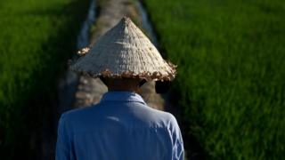 Nông thôn Việt Nam