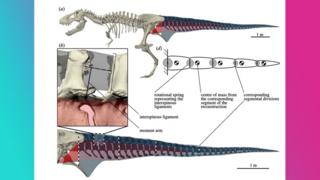 diagram-of-t-rex-skeleton
