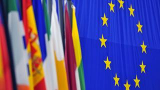 Европа выбирает общий парламент. Зачем он нужен?