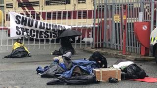 Smash Speciesism protest