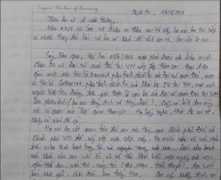Việt Nam, Trần Huỳnh Duy Thức, dân chủ