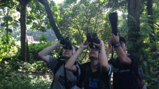 Burung