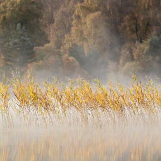 Autumn Colours on Loch Pityoulish