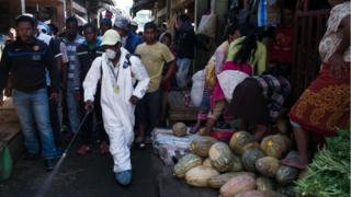 madagascar, fin de la peste pulmonaire, pms