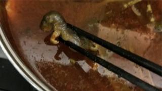 Dead rat in a soup at a Chinese hotpot restaurant