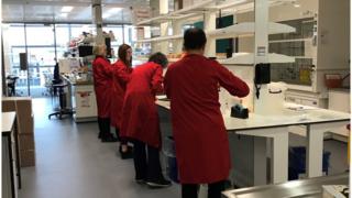 Workers at the Francis Crick Institute