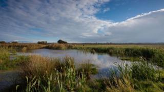 Suffolk Broads