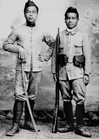 VN