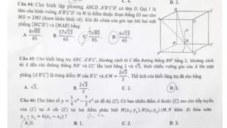 Đề toán THPT năm nay thậm chí còn quá sức nhiều giáo sư, nhà toán học?