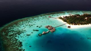 மனிதர்கள் அழிந்த பிறகு புவியில் என்னவெல்லாம் நிகழும்? - ஒரு டைம் ட்ராவல்