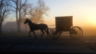 Amish buggy