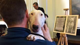 Billy the Bull Terrier accepted the award on behalf of Peggy