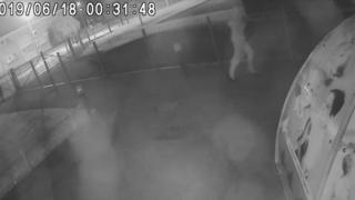 CCTV of suspected milk thief
