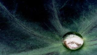 gota de mercurio