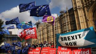 英國議會大廈前的抗議人士
