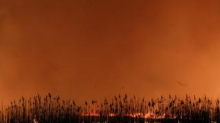 environment Fires in Poland