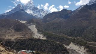 एवरेस्ट क्षेत्र के खुंबू घाटी में वन