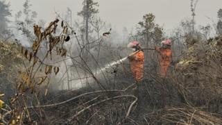 Pemadaman lahan gambut yang terbakar