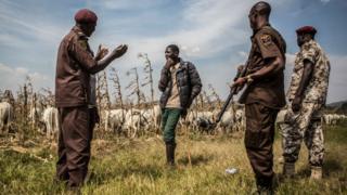 Herdsmen