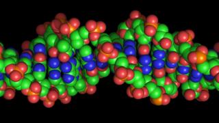 DNA strand illustration