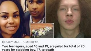 Daily Mail article