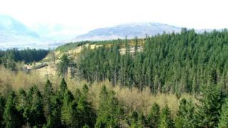 Coille Ratharsair
