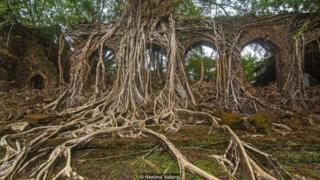 இந்திய பெருங்கடலின் நடுவில் ஒரு பேய் தீவு
