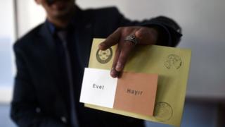 Referandum oy