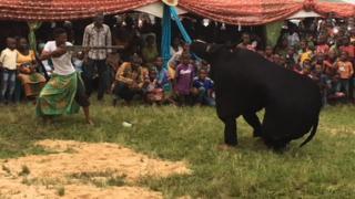 Odi