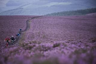 Enduro Racers