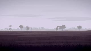 Sabana