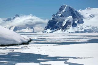 Alone - taken by Joyce Ferder Rankin in December 2013 near Vernadsky research base, Antarctica