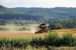 A tractor in a field