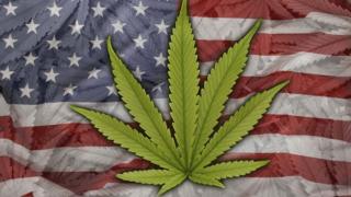 Bandera de Estados Unidos hecha con hojas marihuana.