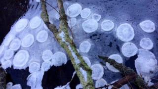 Ice circles in river