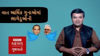 ધંધા પાણી